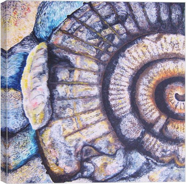 Ammonite Life Study Canvas Print by Phiip Nolan