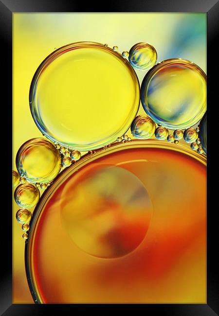 Abstract Oil Drops IV Framed Print by Sharon Johnstone