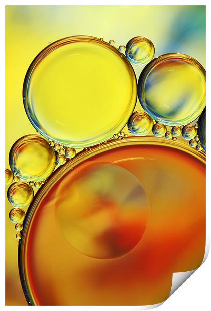 Abstract Oil Drops IV Print by Sharon Johnstone