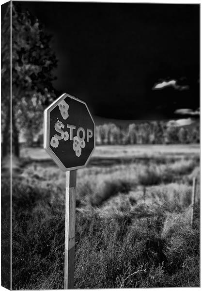 Shot up Stop Sign Canvas Print by Sean Needham