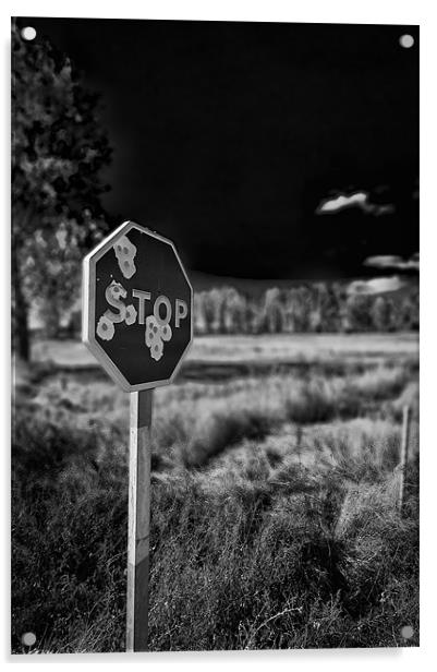 Shot up Stop Sign Acrylic by Sean Needham
