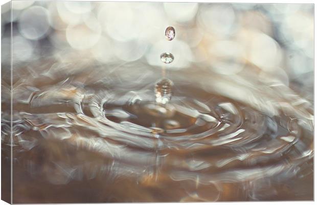 Water Droplet Splash Canvas Print by Rachel Webb