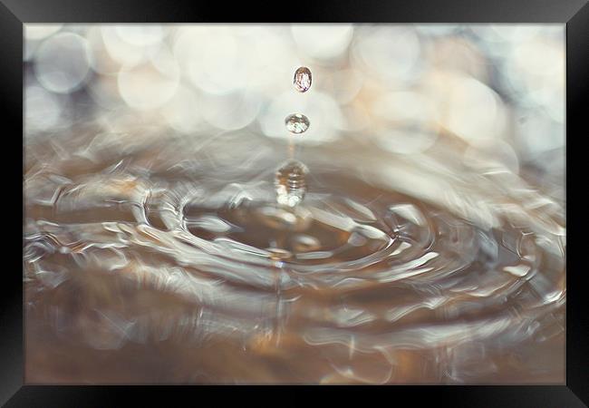 Water Droplet Splash Framed Print by Rachel Webb