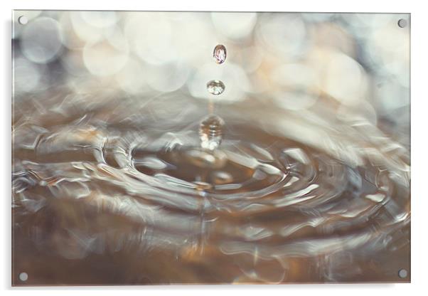 Water Droplet Splash Acrylic by Rachel Webb