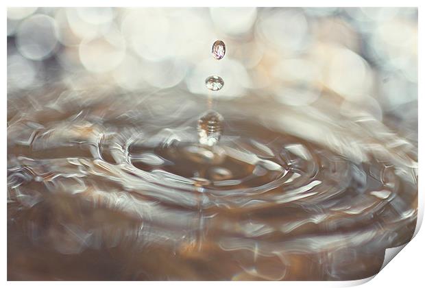 Water Droplet Splash Print by Rachel Webb