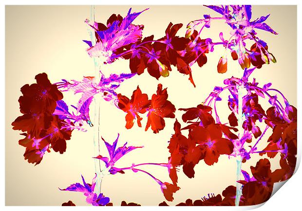 Abstract Cherry Blossom Print by Louise Godwin
