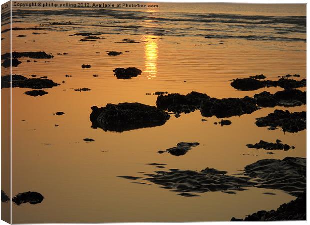 On Golden Tide Canvas Print by camera man