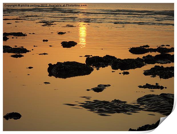 On Golden Tide Print by camera man