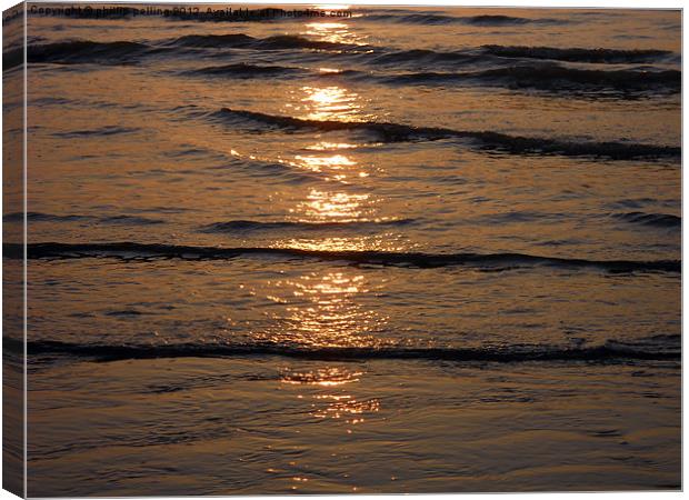 Golden Waves Canvas Print by camera man