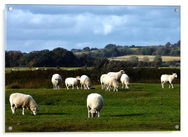 Sheep Acrylic by Sharon Lisa Clarke