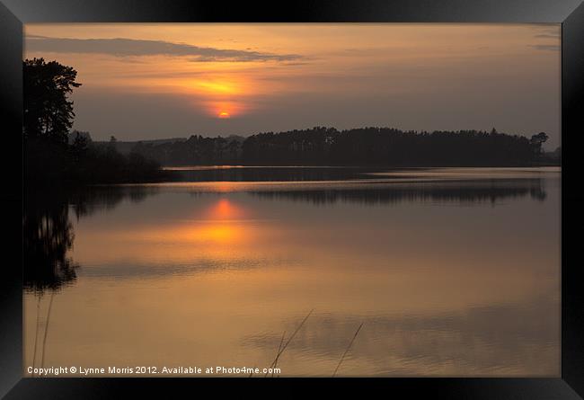 Tranquility Framed Print by Lynne Morris (Lswpp)