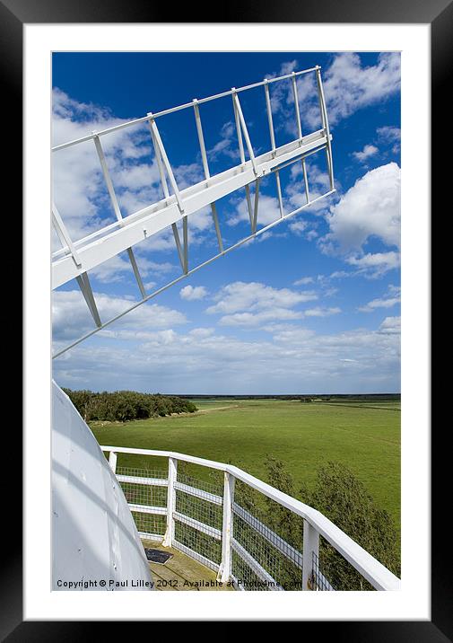 Head To Wind Framed Mounted Print by Digitalshot Photography