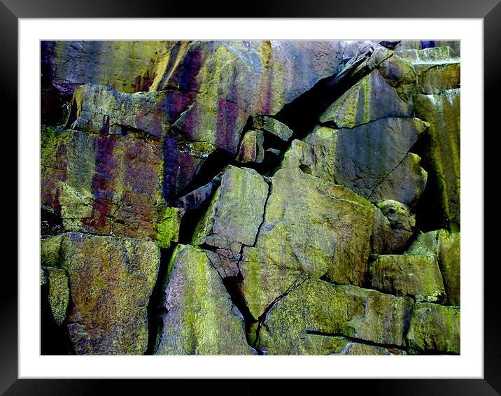 rock face cow and calf Framed Mounted Print by aaron bridgewood