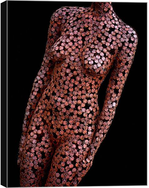 bronzed body Canvas Print by Heather Newton