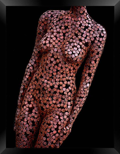 bronzed body Framed Print by Heather Newton
