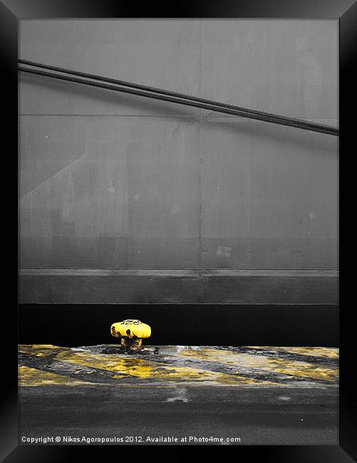 Yellow mushroom 3 Framed Print by Alfani Photography