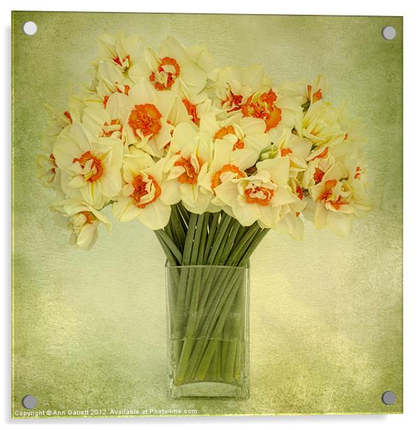 Daffodils in a Vase Acrylic by Ann Garrett