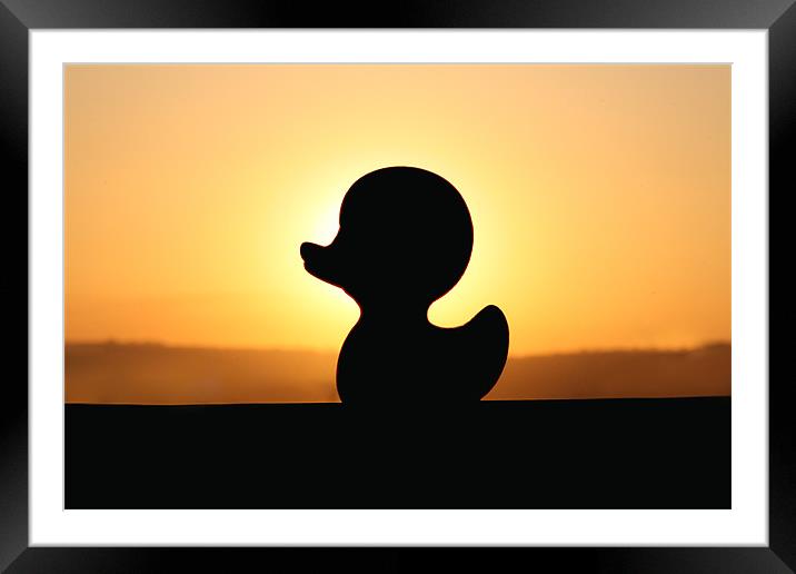 Duck Fun In The Sun! Framed Mounted Print by Sandi-Cockayne ADPS