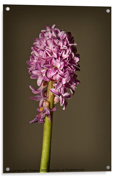 Lilac Acrylic by Keith Thorburn EFIAP/b