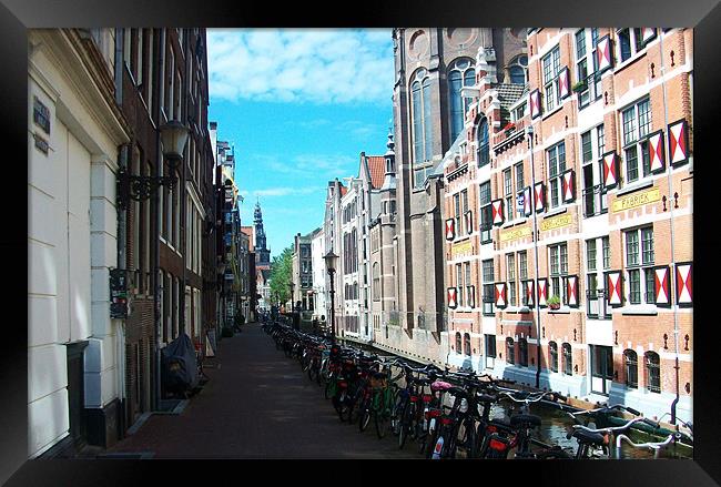 July Bikes in Amsterdam Framed Print by Stephen Baxter