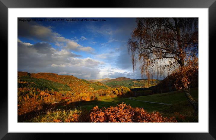autumn colours Framed Mounted Print by duncan speirs