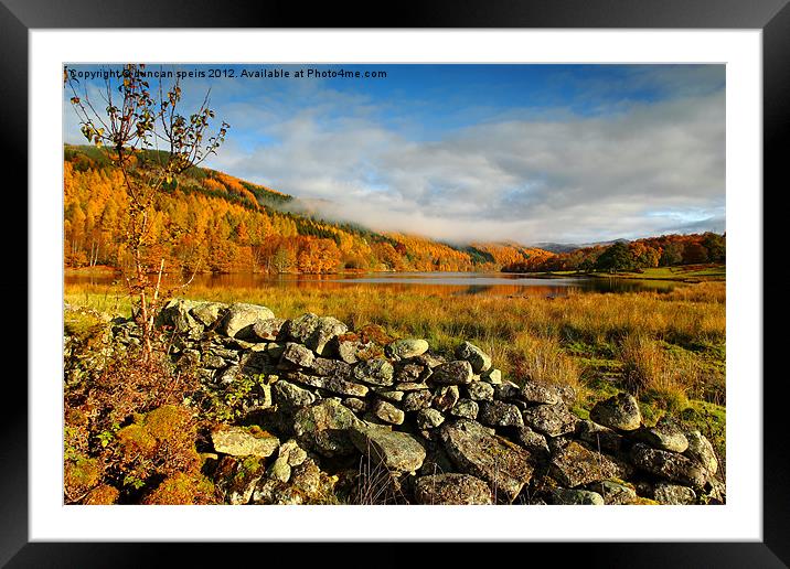 colours on the loch Framed Mounted Print by duncan speirs