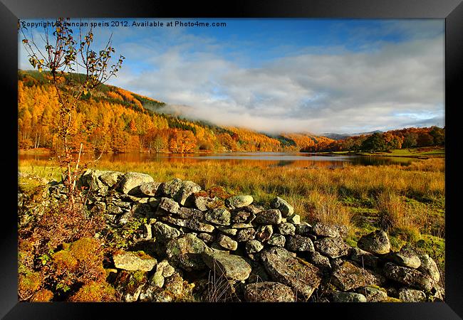 colours on the loch Framed Print by duncan speirs