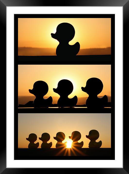 Duck Fun In The Sun! - Triptych Framed Mounted Print by Sandi-Cockayne ADPS