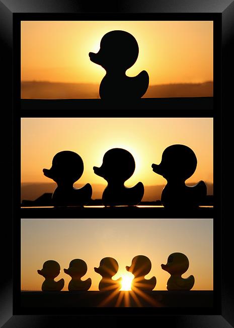 Duck Fun In The Sun! - Triptych Framed Print by Sandi-Cockayne ADPS