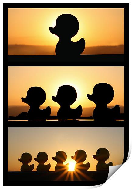 Duck Fun In The Sun! - Triptych Print by Sandi-Cockayne ADPS