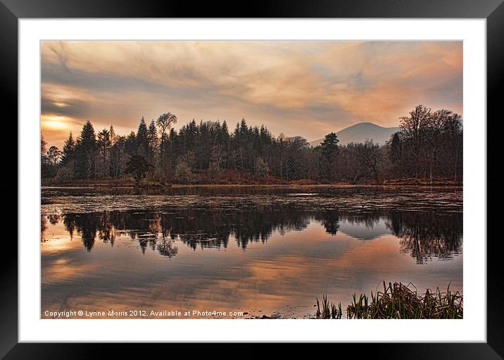 A Calm Evening Framed Mounted Print by Lynne Morris (Lswpp)