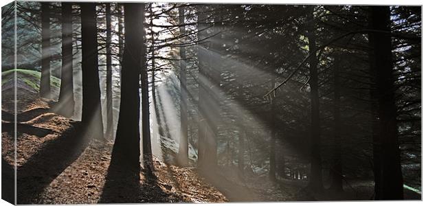 Rays of light Canvas Print by james green