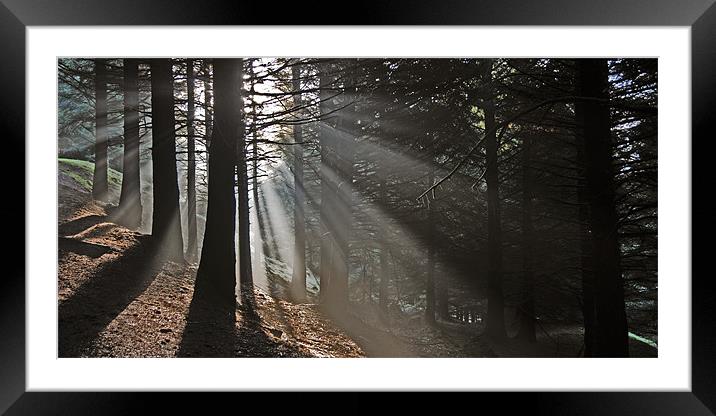 Rays of light Framed Mounted Print by james green