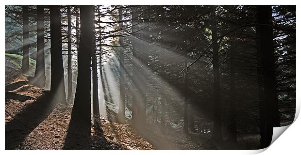 Rays of light Print by james green