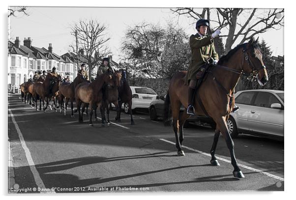 Kings Troop, Royal Horse Artillery Acrylic by Dawn O'Connor