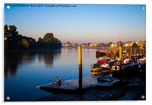 Dawn sculler on the Thames Acrylic by Matthew Bruce