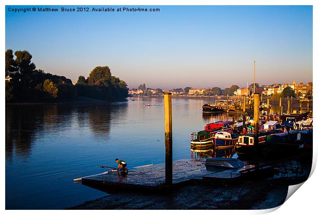 Dawn sculler on the Thames Print by Matthew Bruce