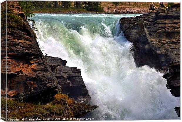 Athabasca Falls , Jasper National Park Canvas Print by Elaine Manley