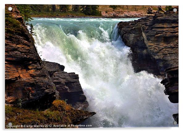 Athabasca Falls , Jasper National Park Acrylic by Elaine Manley