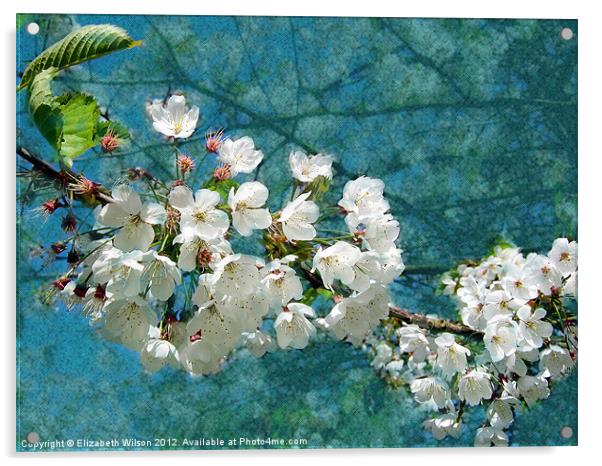 Blossom Texture Acrylic by Elizabeth Wilson-Stephen