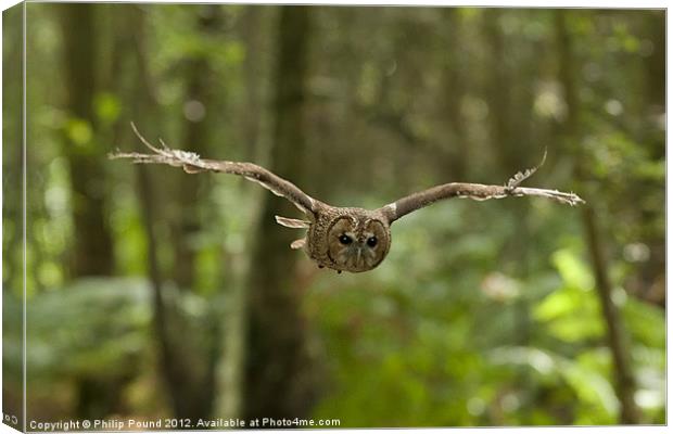 Tawny Owl in Flight Canvas Print by Philip Pound