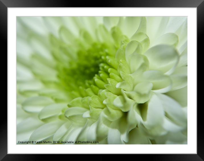 White and Green Petals Framed Mounted Print by Karen Martin