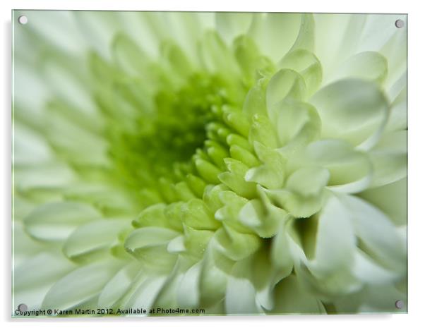White and Green Petals Acrylic by Karen Martin