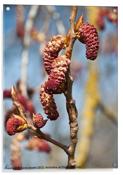 Red Catkins Acrylic by Karen Martin