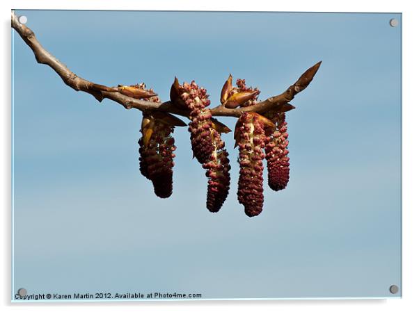 Red Catkins, Blue Sky Acrylic by Karen Martin