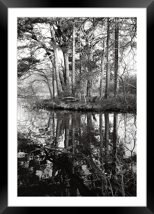 Trees and reflections Framed Mounted Print by Chris Martin