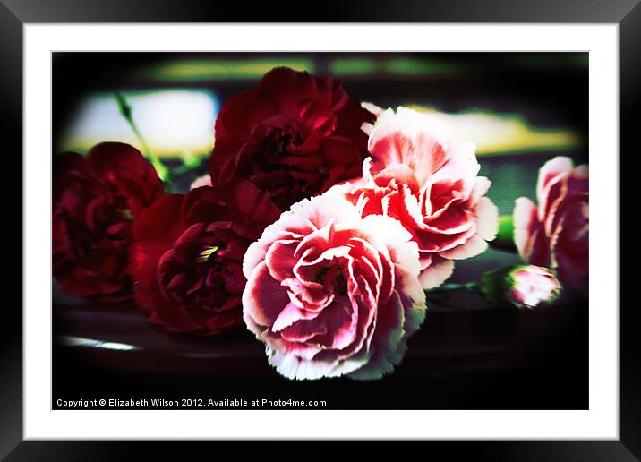 Lomo Carnations Framed Mounted Print by Elizabeth Wilson-Stephen