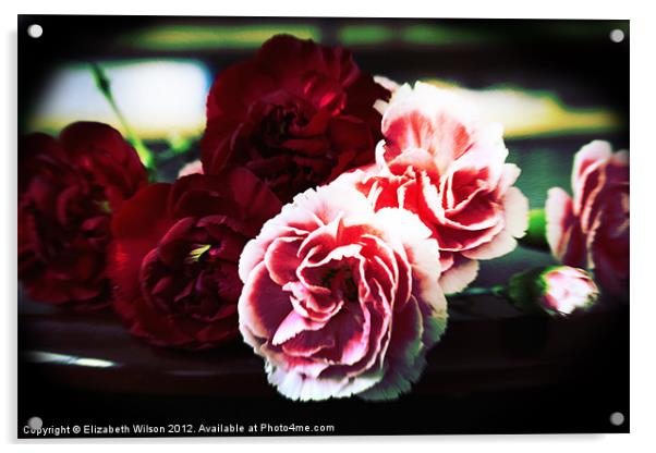 Lomo Carnations Acrylic by Elizabeth Wilson-Stephen