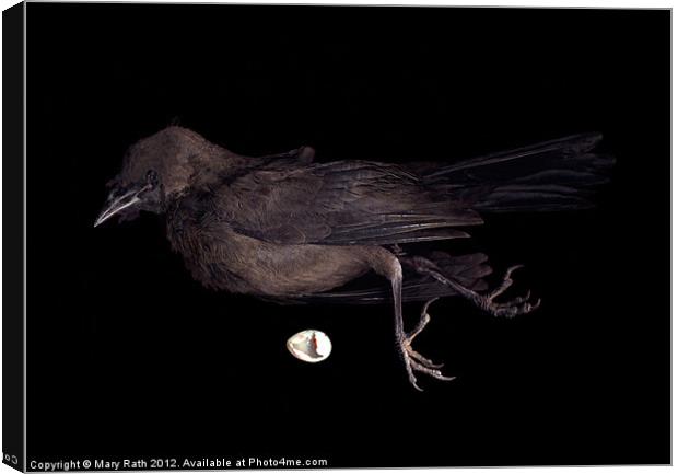 Black Bird Canvas Print by Mary Rath