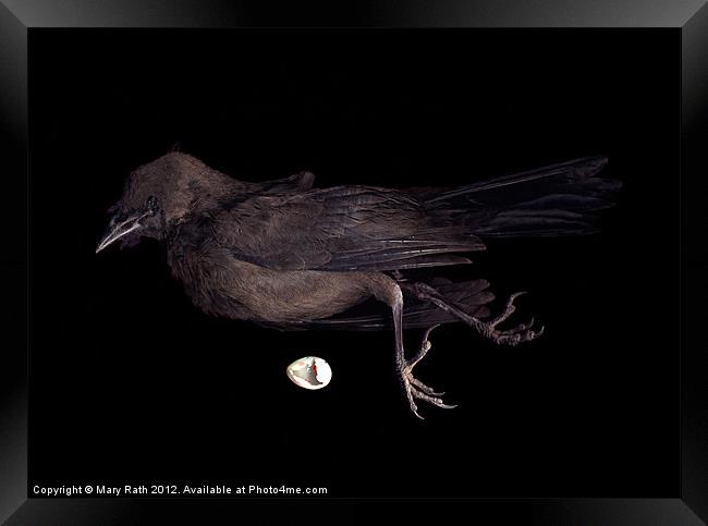 Black Bird Framed Print by Mary Rath